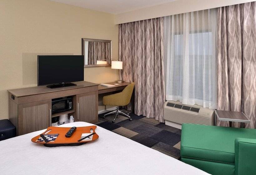 스탠다드 룸 킹사이즈 침대, Hampton Inn Broussardlafayette Area