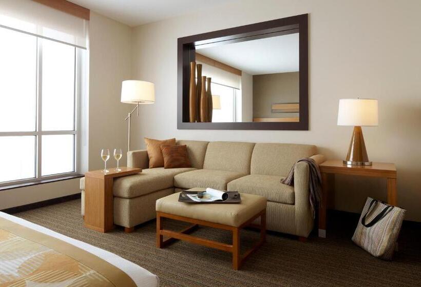Стандартный Номер Кровать Кинг, Hyatt Place Pune Hinjawadi