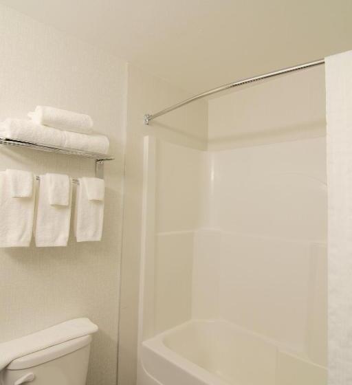 带大床的套房, Paradise Inn And Suites Redwater