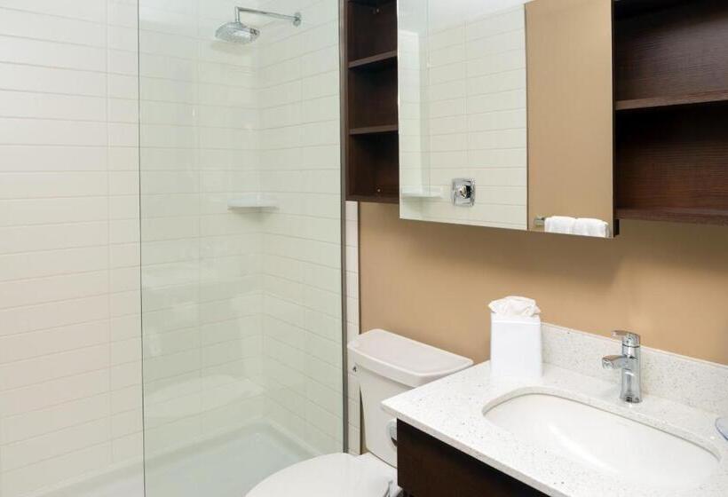 Номер бизнес-класса, Microtel Inn & Suites By Wyndham Red Deer