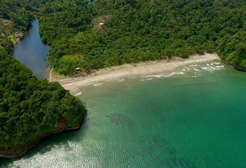Номер Стандарт, Rain Forest Lodge Playa Jaguar Panama