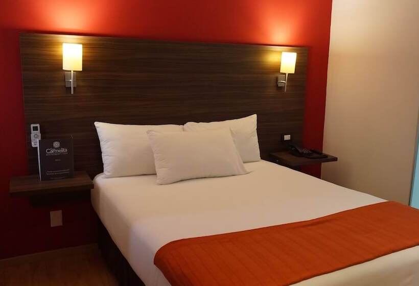 高级大房间, El Hotel Business Class   Zamora Centro