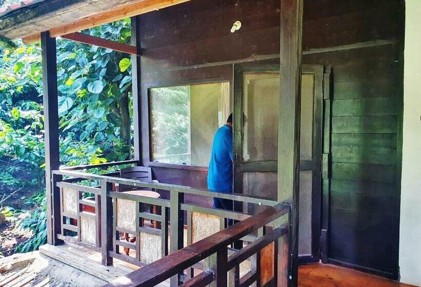 豪华房间, Turtle Pond Home Stay