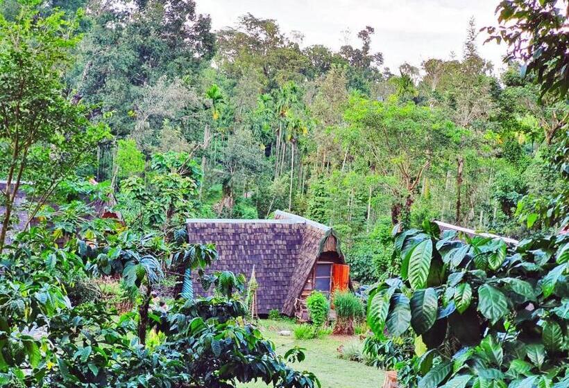 一居室别墅, Turtle Pond Home Stay