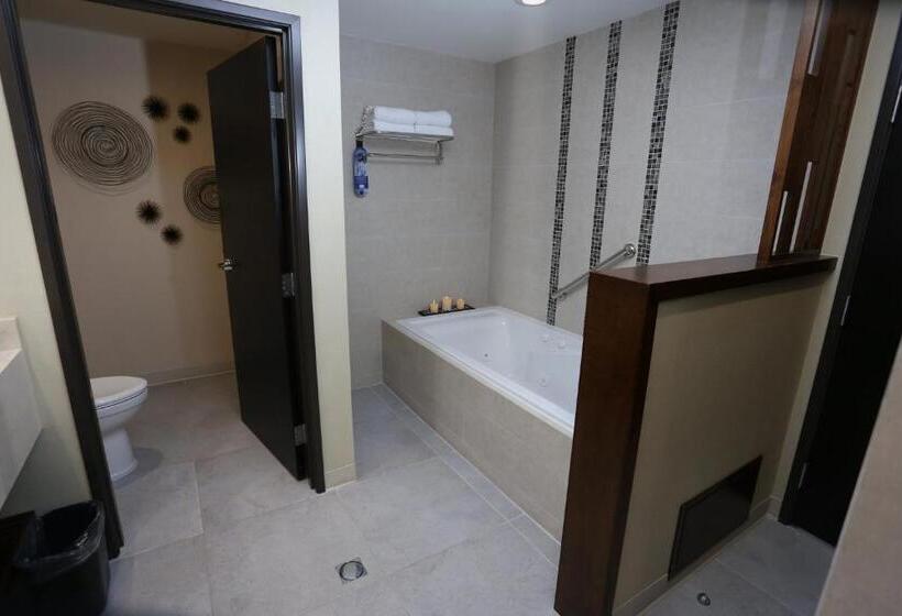 スイート, Holiday Inn Express & Suites Mexicali, An Ihg