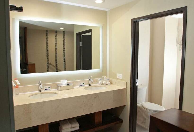 スイート, Holiday Inn Express & Suites Mexicali, An Ihg