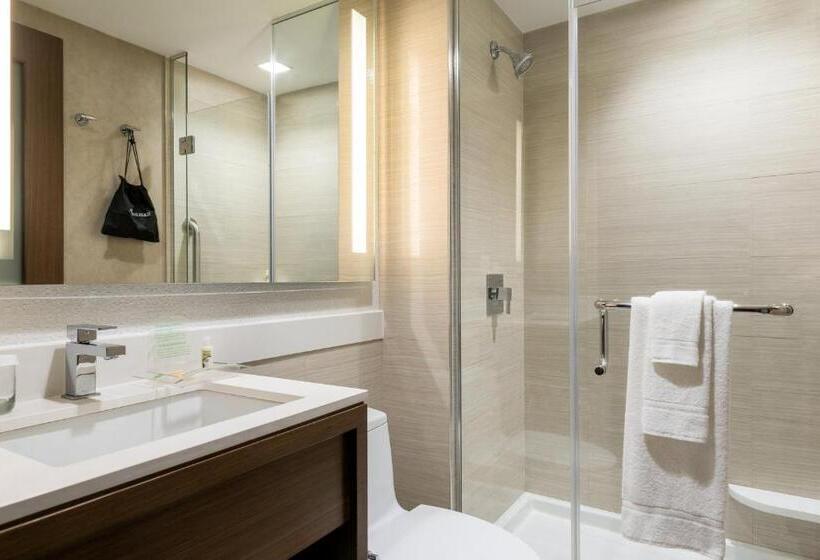 适合残疾人士使用的带超级大床的标准间, Holiday Inn Brooklyn Downtown, An Ihg