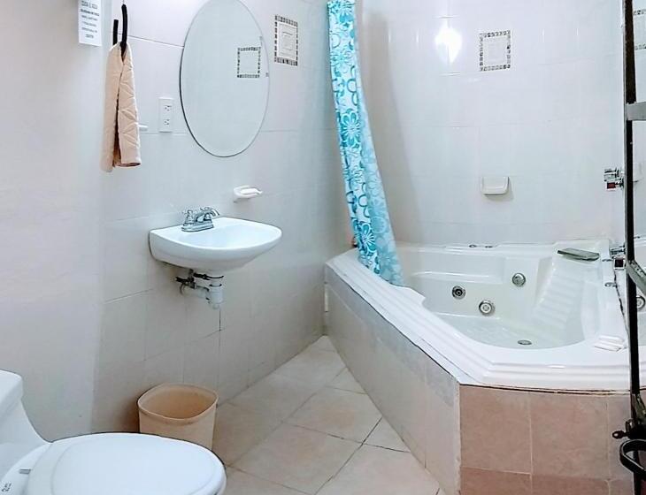 高级房间带漩涡浴缸, Posada Spa Antigua Casa Hogar