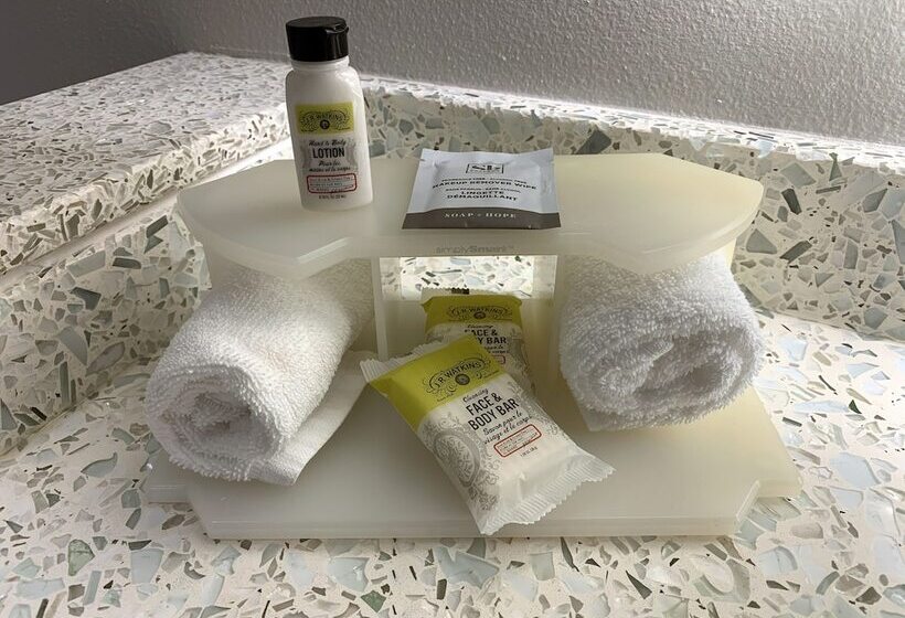 Люкс Адаптированный для Инвалидов, Holiday Inn Express Hotel & Suites Austin Downtown   University, An Ihg