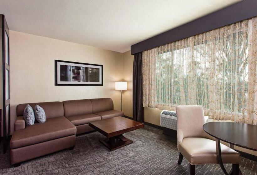 Люкс Кровать Кинг, Holiday Inn Express & Suites Anaheim Resort Area, An Ihg