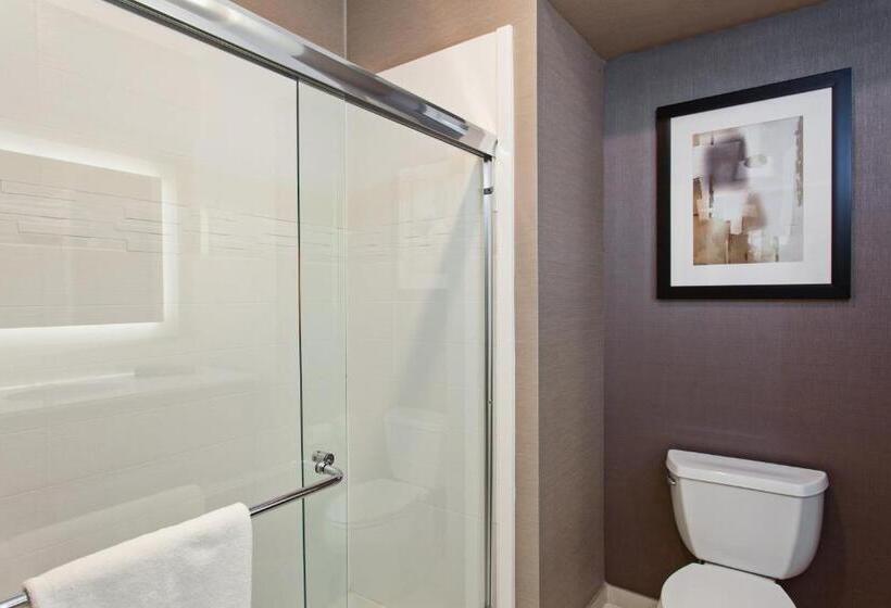 Номер Стандарт, Holiday Inn Express & Suites Anaheim Resort Area, An Ihg