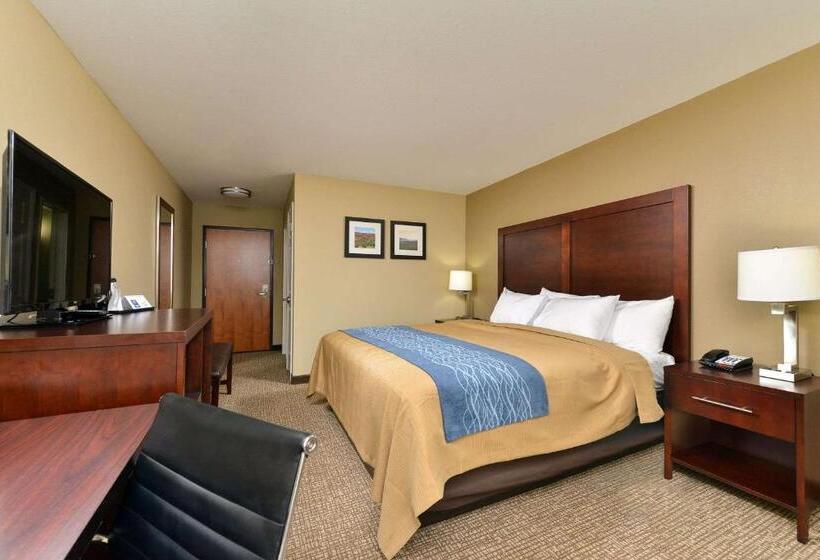 Стандартный Номер Кровать Кинг, Comfort Inn & Suites Manheim   Lebanon