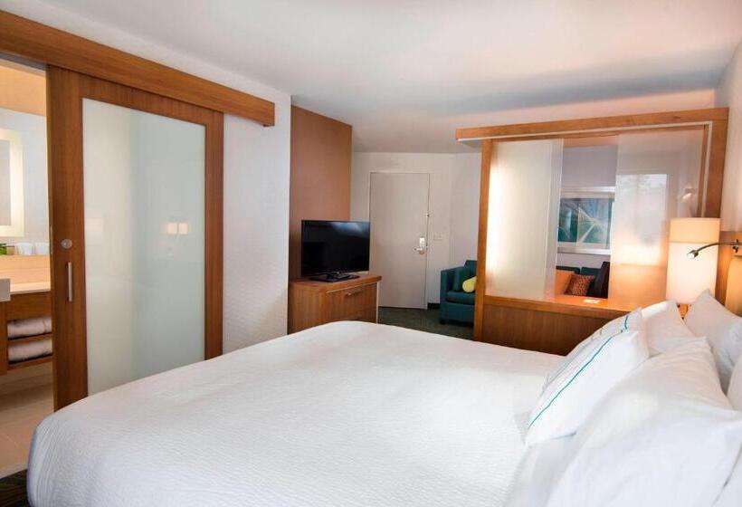 Люкс Deluxe Кровать Кинг, Springhill Suites By Marriott Wisconsin Dells