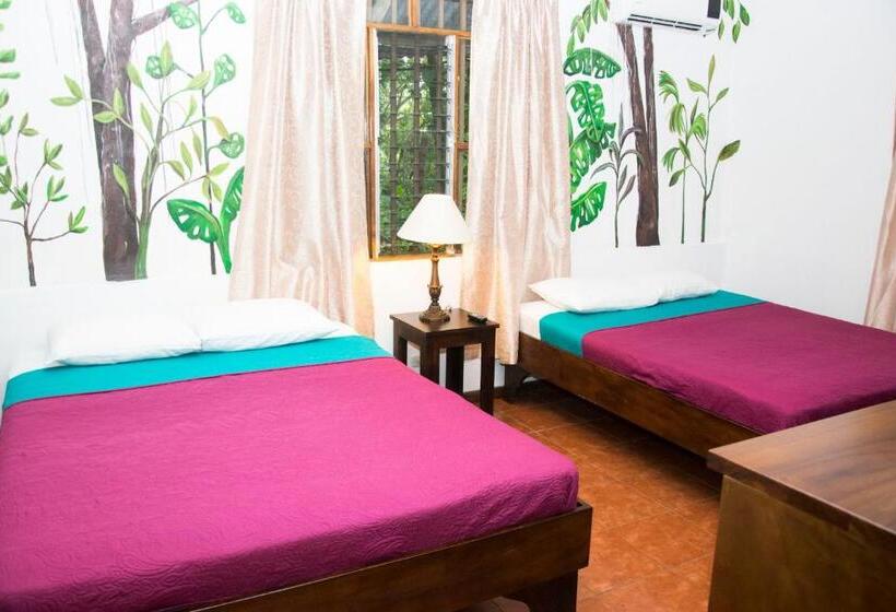 اتاق راحتی, Jungle Beach Hotel Manuel Antonio