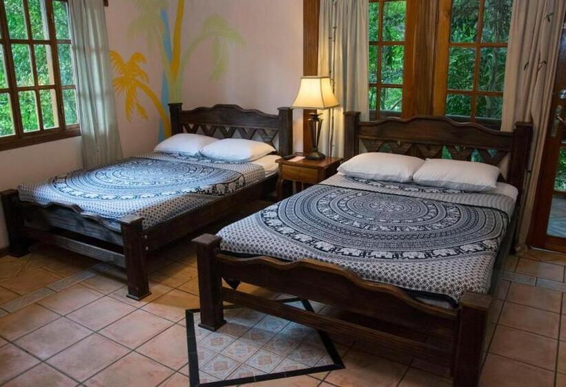 سوییت, Jungle Beach Hotel Manuel Antonio