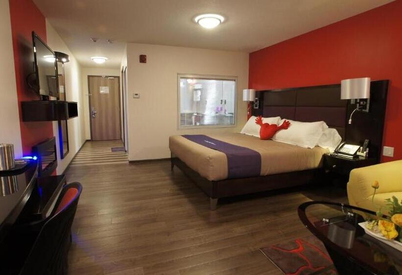 豪华套房, Dreamz Inn