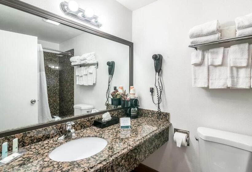 Номер Стандарт 2 Двуспальные Кровати, Quality Inn & Suites Near Downtown Bakersfield