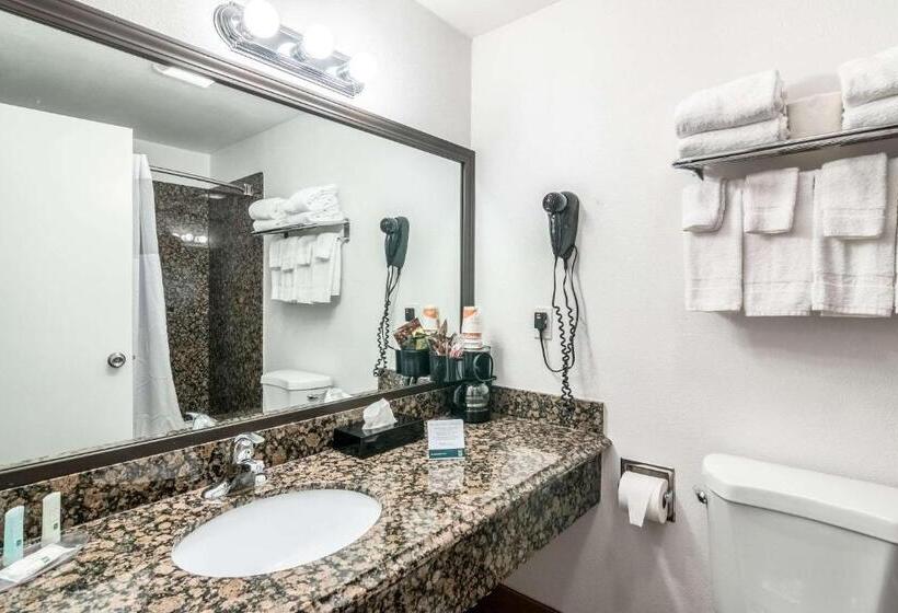 Номер Стандарт 2 Двуспальные Кровати, Quality Inn & Suites Near Downtown Bakersfield