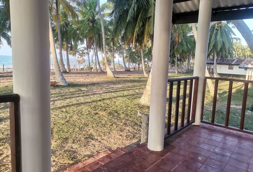 Номер Стандарт Двуспальная Кровать, Helios Beach Resort