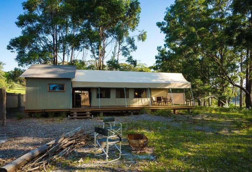 Бунгало Стандарт, Tanja Lagoon Camp