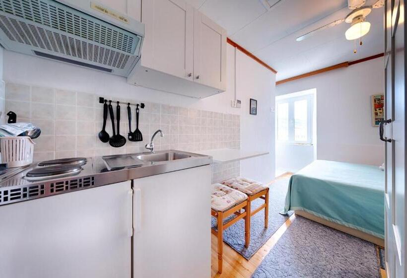 스탠다드 스튜디오, Apartments And Rooms By The Sea Komiza, Vis   2431