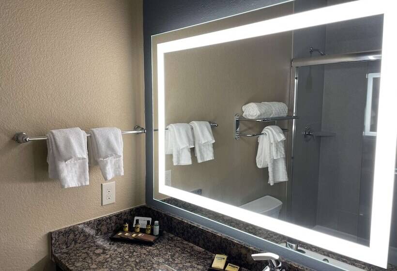 Люкс, Best Western Plus Lake Jackson Inn & Suites