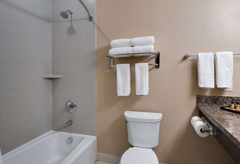 Люкс Адаптированный для Инвалидов, Best Western Plus Lake Jackson Inn & Suites