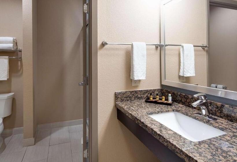 Стандартный Номер Кровать Кинг, Best Western Plus Lake Jackson Inn & Suites