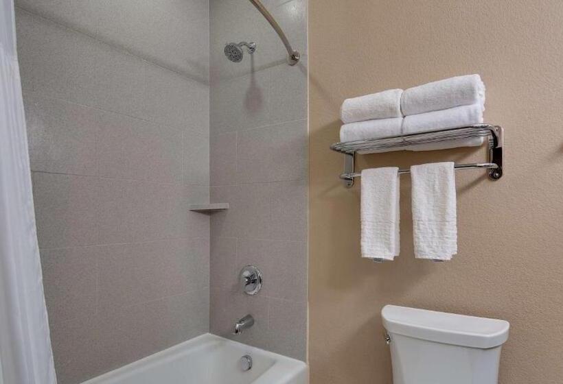 Люкс Кровать Кинг, Best Western Plus Lake Jackson Inn & Suites