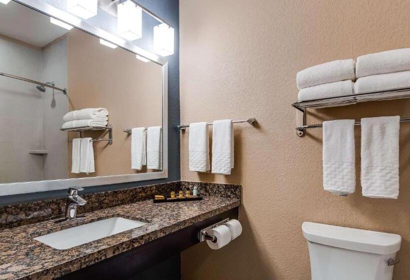 Номер Стандарт, Best Western Plus Lake Jackson Inn & Suites