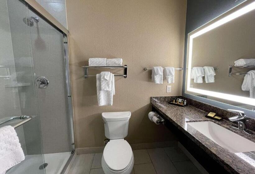 Номер Стандарт, Best Western Plus Lake Jackson Inn & Suites