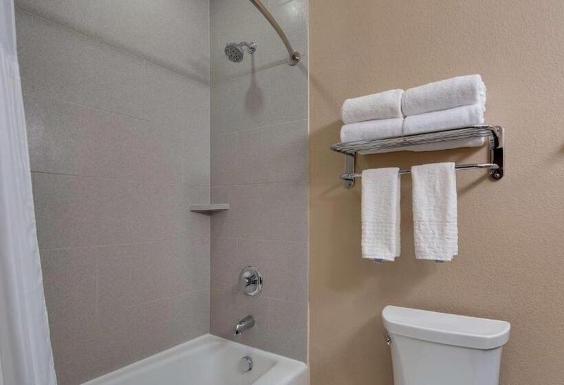 Стандартный Номер Кровать Кинг, Best Western Plus Lake Jackson Inn & Suites