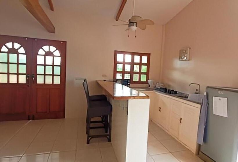 1 Yatak Odalı Daire, Alona42 Resort