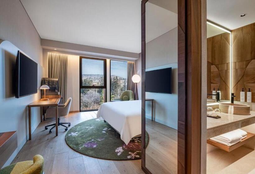 비즈니스룸, Swissôtel Tbilisi