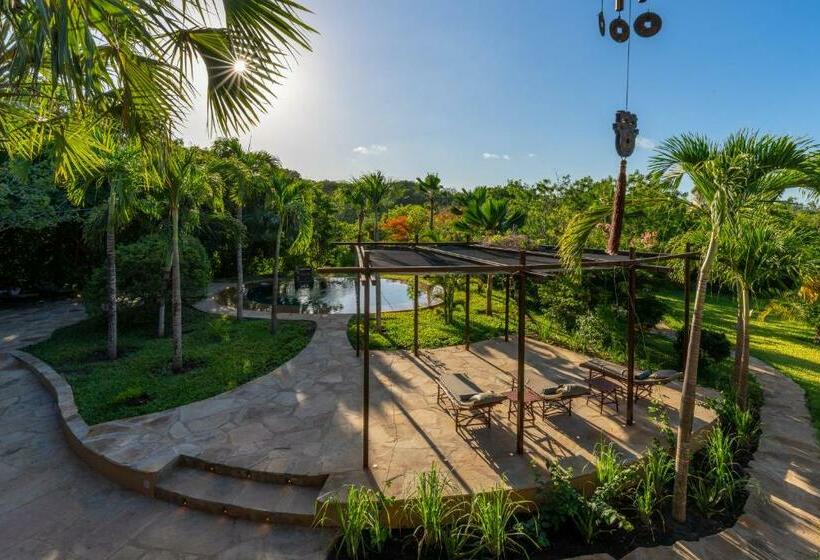 اتاق استاندارد, Tombo House
