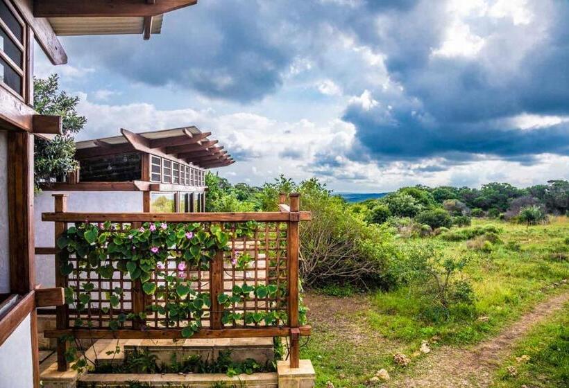 Номер Стандарт, Sky Island Resort