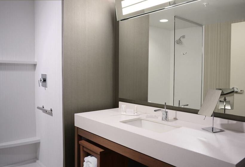 스탠다드 룸, Courtyard By Marriott Dallas Plano/the Colony