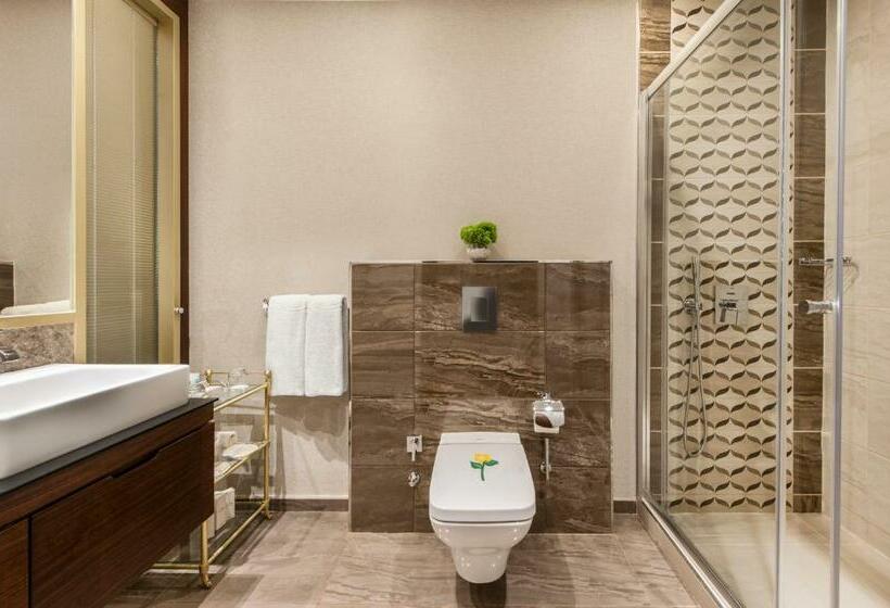 プレミアムルーム, Elite World Grand Istanbul Basin Ekspres