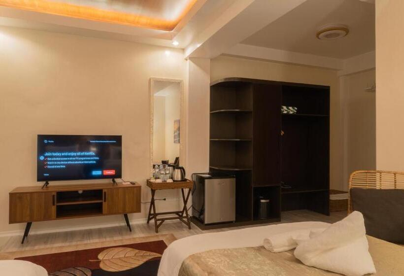 اتاق استاندارد با چشم‌انداز استخر, The Mayana Resort