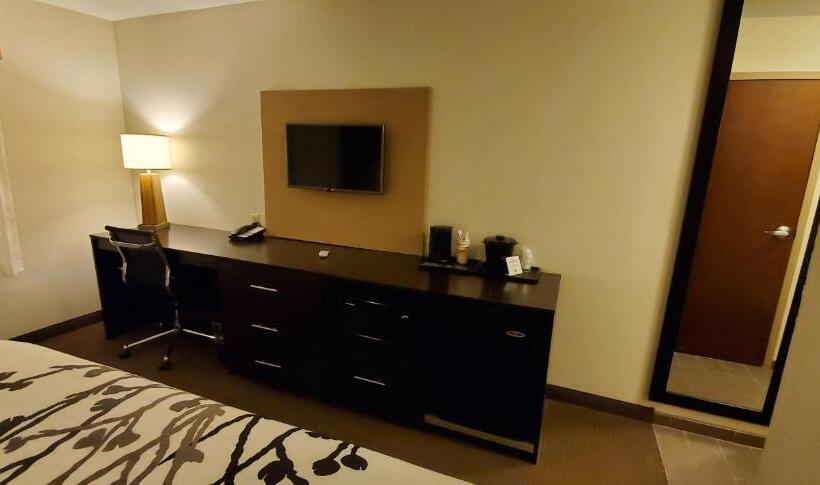 장애인을 위한 스탠다드 룸, Sleep Inn & Suites Defuniak Springs  Crestview