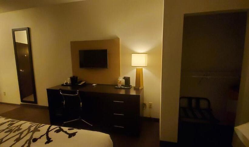 장애인을 위한 킹사이즈 침대 스탠다드 룸, Sleep Inn & Suites Defuniak Springs  Crestview