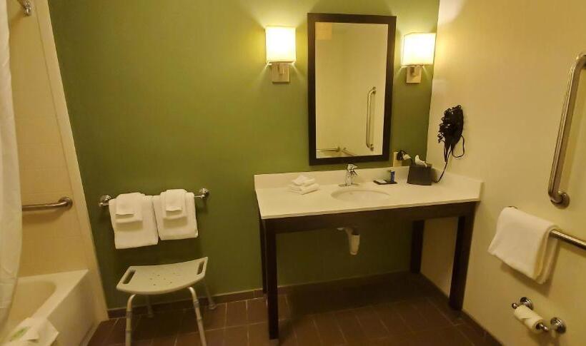 장애인을 위한 킹사이즈 침대 스탠다드 룸, Sleep Inn & Suites Defuniak Springs  Crestview
