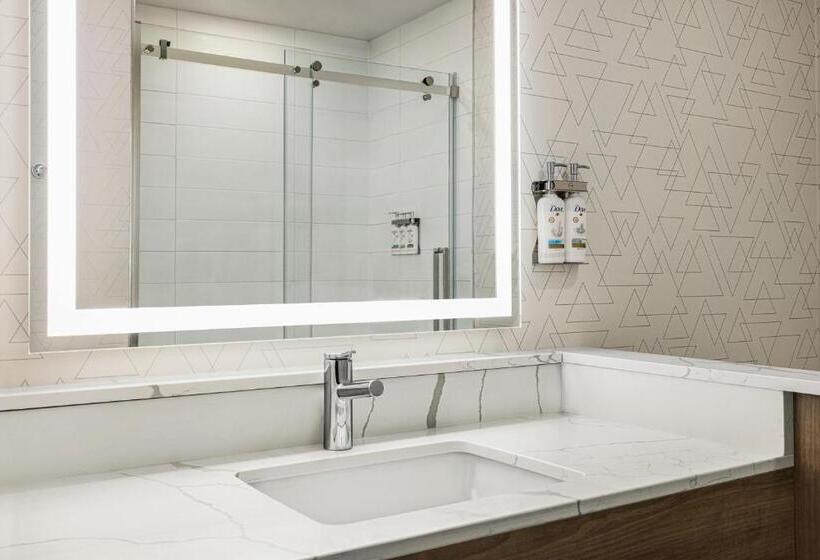 스탠다드 룸 킹사이즈 침대, Holiday Inn Express   Strathroy, An Ihg