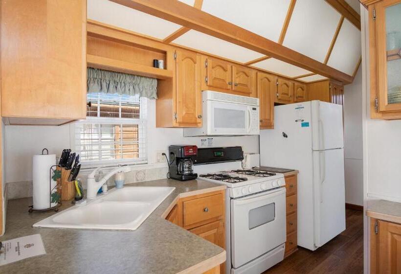 标准间, River Run Park Model Cabin On Guadalupe