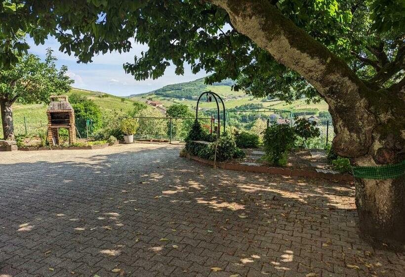 Номер Стандарт, Domaine Viticole Philippe Deschamps