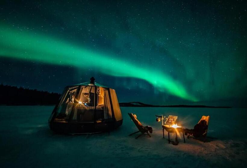 标准间, Aurora Borealis Observatory