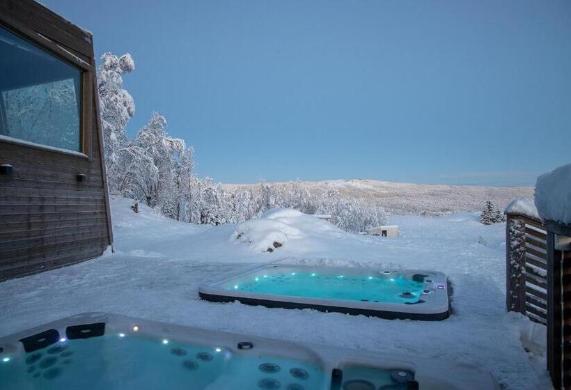Executive Svit, Aurora Borealis Observatory