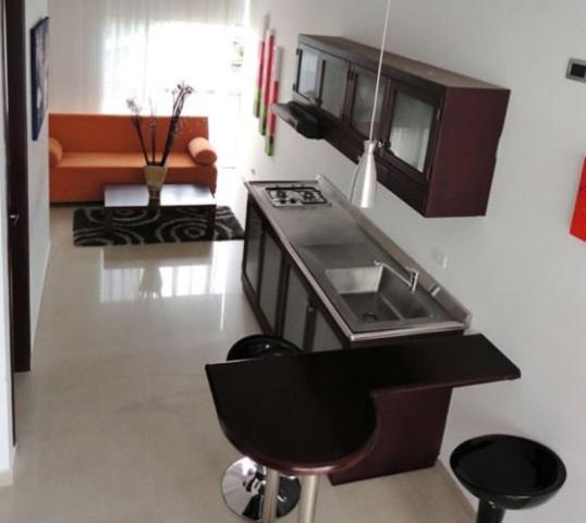 آپارتمان دوبلکس 1 خوابه, Monterosa Apartamentos Amoblados