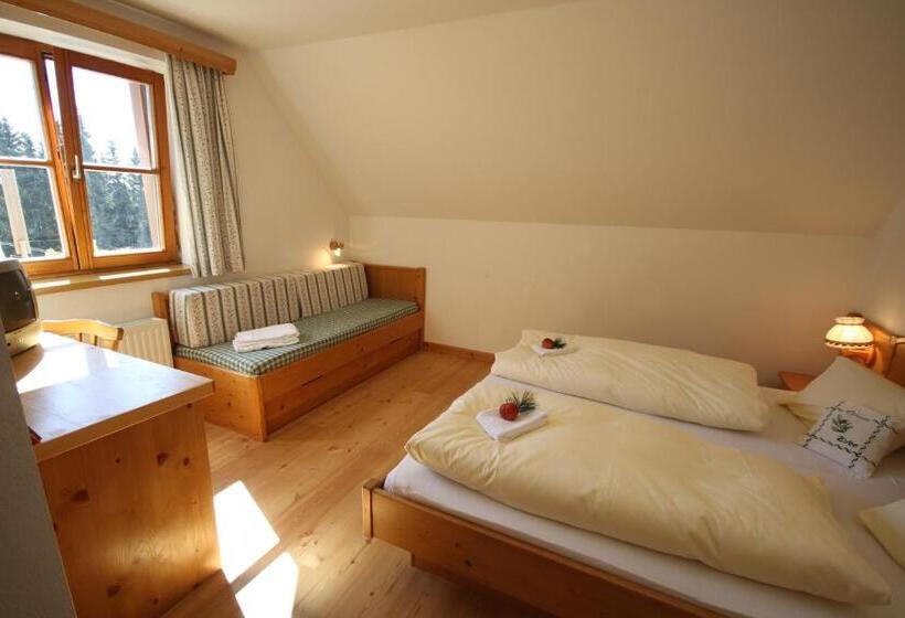 Апартаменты 1 Спальня с Видом, Almdorf Tonnerhütte