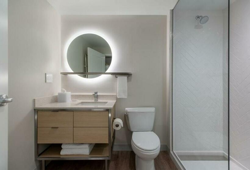 Студио Стандарт Кровать Кинг, Towneplace Suites By Marriott Birmingham South